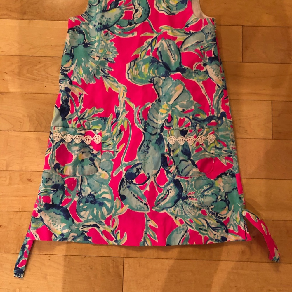 Lily Pulitzer Size 6 Skirt . Barely worn.